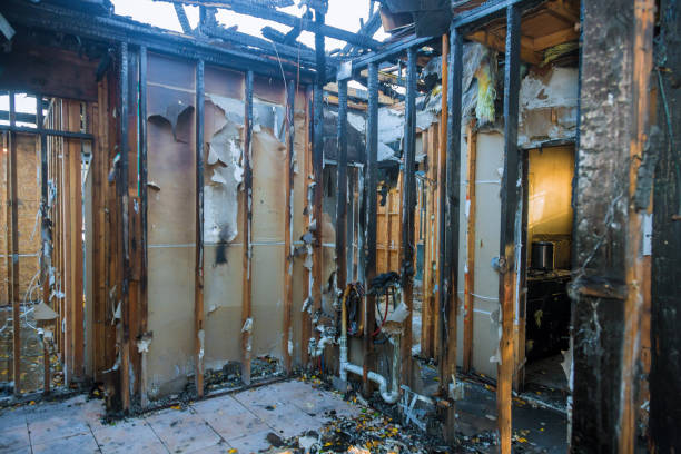 Professional Smoke Damage Removal technician working in Southfield, MI